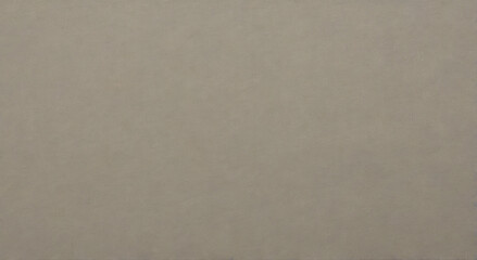 Fototapeta premium paper texture