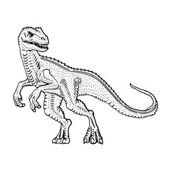 Popular Mythical Creatures and Their Legends