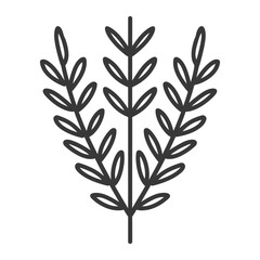 Naklejka premium Three Stems of Simple Branching Leaves