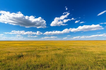 Obraz premium Vast Golden Prairie Under a Bright Blue Sky: Serene Landscape for Nature and Travel Themes