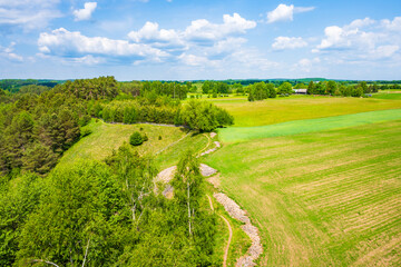 Fototapeta premium View of green meadows and farming fields near Turtulu lake in spring season, Suwalski Landscape Park, Podlasie, Poland