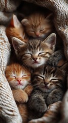 Group of adorable, sleeping kittens is cuddled closely together on a soft knitted blanket, exuding warmth and coziness