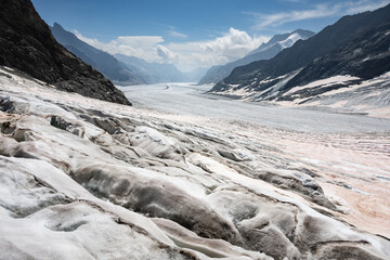 Jungfraufirn