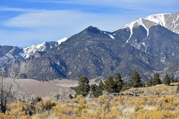 Fototapeta premium Pine dotted landscape at Great Sand Dunes National Park