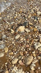 stones on the seashore in the evening, closeup of photo