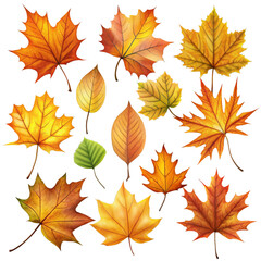Collection of autumn leaves isolated on a transparent background.