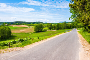 Rural road in green farming landscape with meadows, Suwalski Landscape Park, Podlasie, Poland