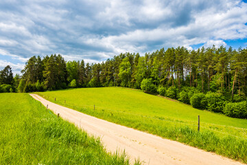 Rural road in green farming landscape with hills and meadows, Suwalski Landscape Park, Podlasie, Poland