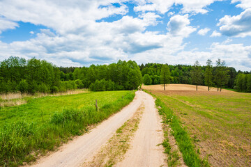 Rural road in green farming landscape with hills and meadows, Suwalski Landscape Park, Podlasie, Poland