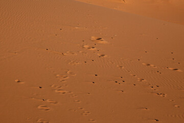 Sahara dunes, waves and footprints in the sand, background