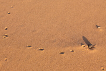 Sahara dunes, waves and footprints in the sand, background