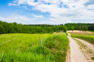 Countryside dirt road along green fields and meadows, Suwalski Landscape Park, Podlasie, Poland