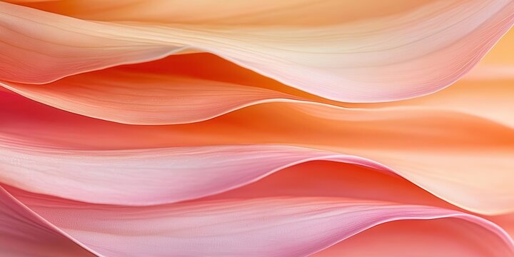 A close-up of a vibrant, blooming flower's petal reveals the intricate details of its macro, floral beauty.