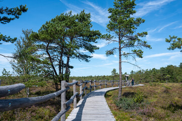 Black moor with Heather