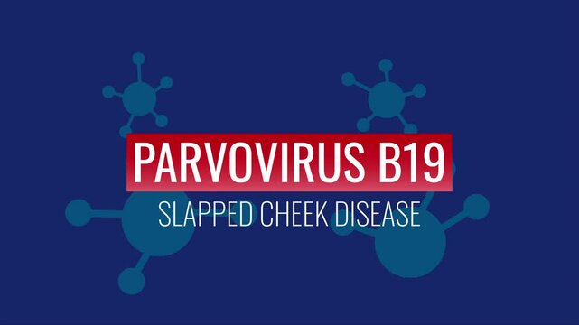 Parvovirus B19, slapped cheek disease. Headline, news, alert, intro background. Animated video. Health concept.