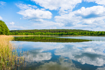View of beautiful lake shore during sunny summer day, Suwalski Landscape Park, Podlasie, Poland
