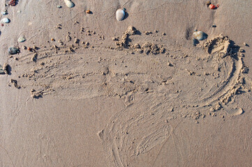 Beach sand background with wave. Copy space for your text advertisement. Soft sea ocean.