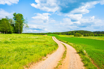 Countryside dirt road along green fields and meadows with beautiful white clouds on blue sky, Suwalski Landscape Park, Podlasie, Poland