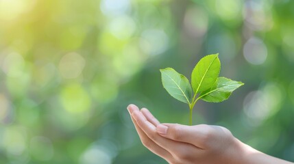 Sustainability Frameworks for Business Growth, exploring essential ESG factors to enhance corporate responsibility, environmental impact, social equity, and governance practices.