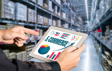 E-commerce data software provide modish dashboard for sale analysis to the online retail business