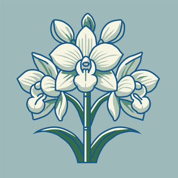 Monja blanca flor nacional de Guatemala