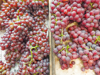 buying fruits (grape) at the market