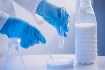 Fototapeta premium Quality control test of milk in laboratory. Dairy factory industry products