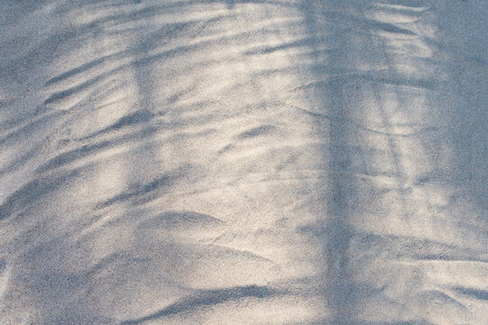 Cucoloris. Shadows on Sand on the beach as background. For your Text.