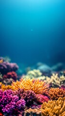 Obraz premium Vibrant coral reef underwater with colorful corals and blue water
