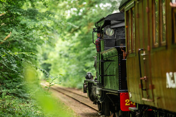 Vintage museum steam train rolling through green forest.