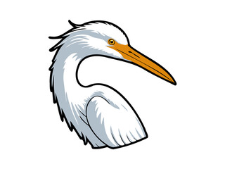 Great egret head close-up