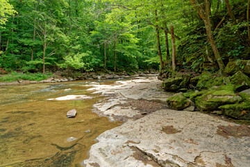 Drought conditions at a Tennessee river