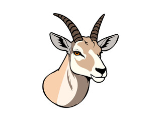 Portrait of an impala with prominent horns