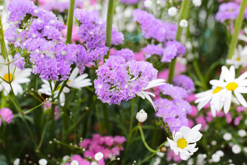 Beautiful flower bouquet, Flower background.