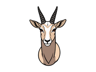 Front view of a gazelle with sharp horns
