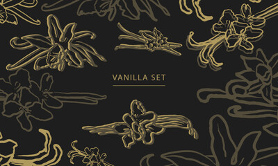 Isolated vector hand drawn set of vanilla. Vanilla sticks, vanilla flower and pods. Aroma, food.Hand drawn.Vector hand drawn illustration of orchid Flower and pods on isolated dark background. Sketch.