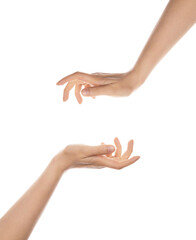 Gentle hands isolated on white background. Elegant motion and gesture female, tenderness.