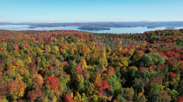 Aerial Footage of Vibrant New England Forest With Lake in the Background - Lake Memphremagog - Newport, Vermont 