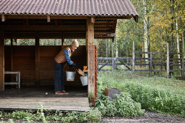 Full shot of mature female farmer in warm clothes holding steel bucket feeding animals at countryside farm while working in wooden barn during autumn season