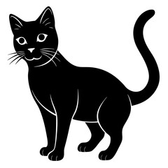 Set of black cats looking out the window. Collection of cartoon cats peeking of the corner. Funny peeking pets. Playful kitten. Vector illustration on white 