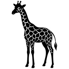 Naklejka premium giraffe vector illustration