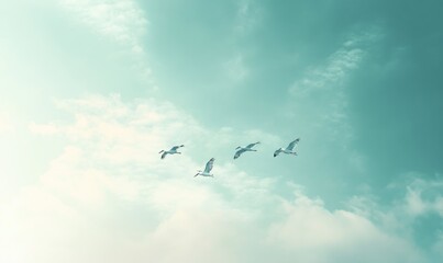 Fototapeta premium Storks flying across the sky