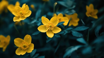 Fototapeta premium A close up of a bunch of yellow flowers with green leaves, AI