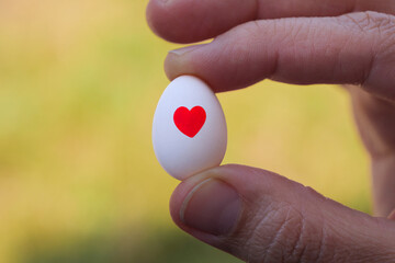 A human hand holding a small bird's egg with a heart symbol. Farming, the beginning of a new life, or caring concept.