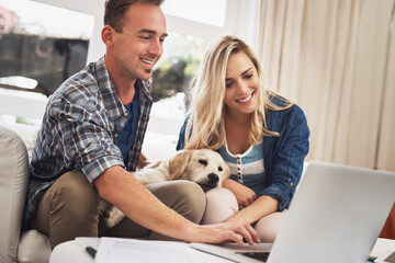 House, dog and couple with laptop, reading or planning for pet insurance, petting and bonding in...