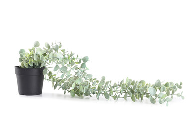 Artificial plant on white background