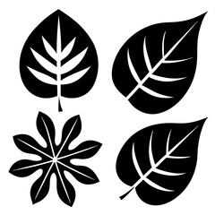 Fototapeta premium set of black and white leaves