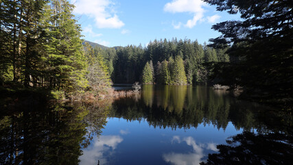 Mirror like lake in the mountain forest