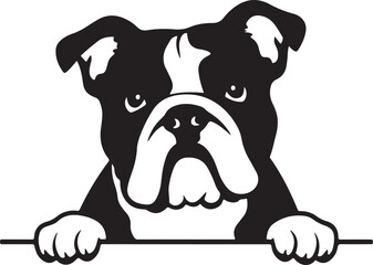 English Bulldog Peeking Stylized Vector Illustration