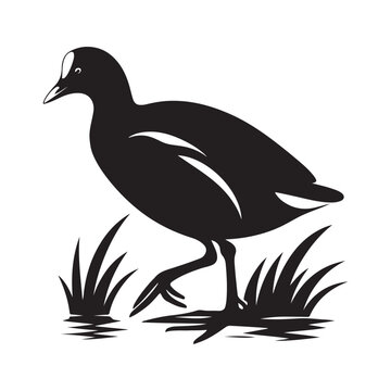 recommend clip art: Common Moorhen and Pelican Silhouette Vector Illustrations – Perfect for T-Shirt Designs